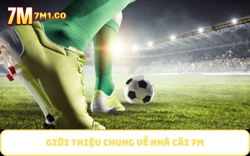 Giới thiệu chung về nhà cái 7M