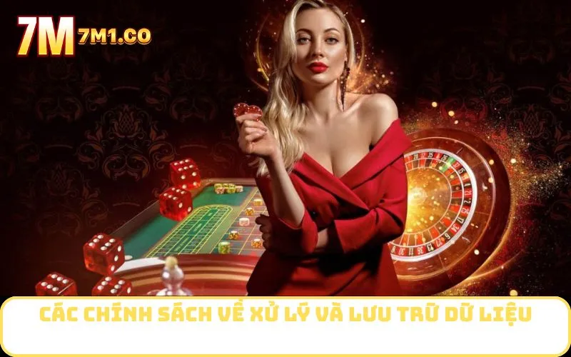 Các chính sách về xử lý và lưu trữ dữ liệu