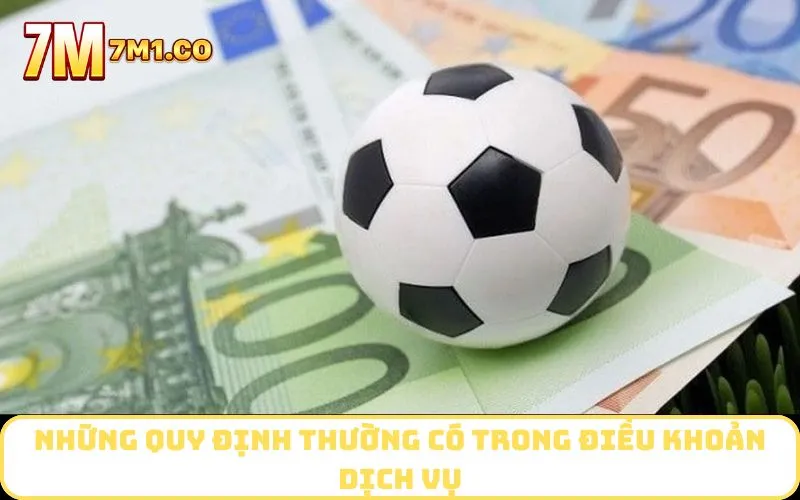 Những quy định thường có trong điều khoản dịch vụ