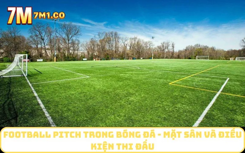 Football pitch trong bóng đá - Mặt sân và điều kiện thi đấu