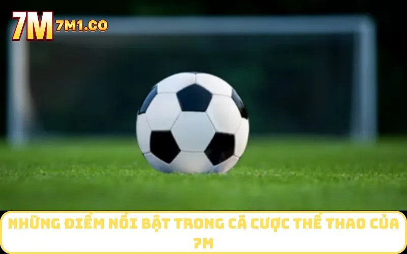 Những điểm nổi bật trong cá cược thể thao của 7M