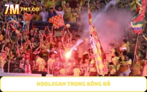 Hooligan trong bóng đá