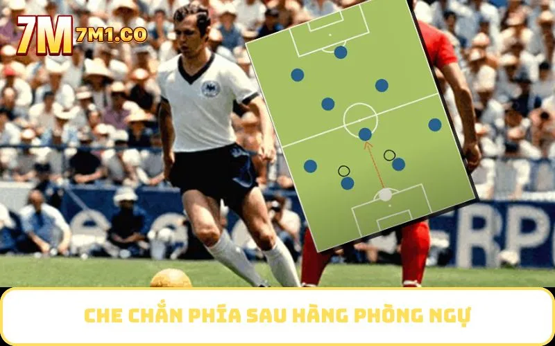 Che chắn phía sau hàng phòng ngự