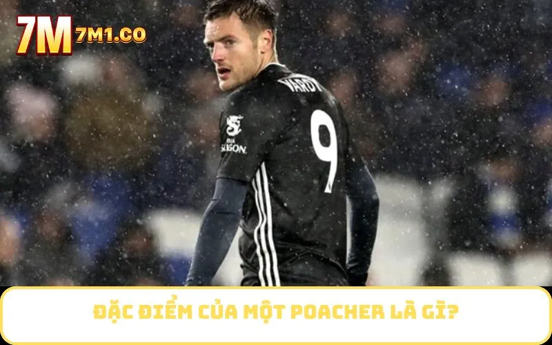 Đặc điểm của một Poacher là gì?