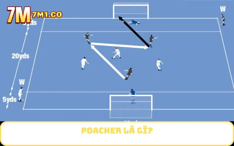 Poacher là gì?