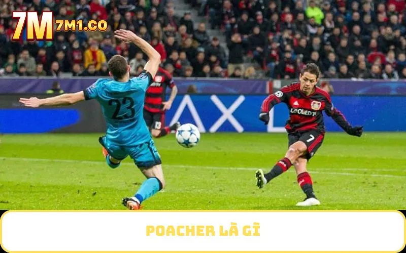 Poacher là gì