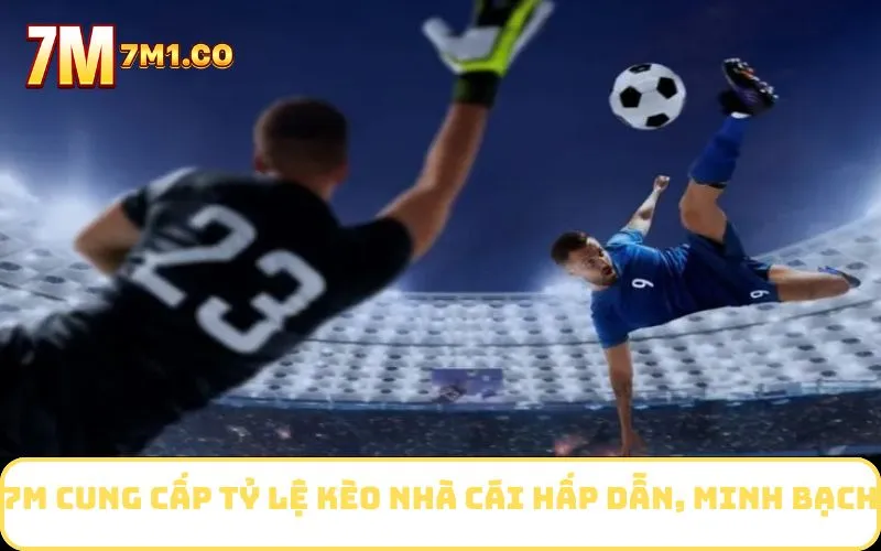 7M cung cấp tỷ lệ kèo nhà cái hấp dẫn, minh bạch
