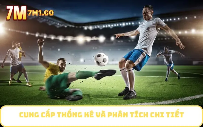 Cung cấp thống kê và phân tích chi tiết